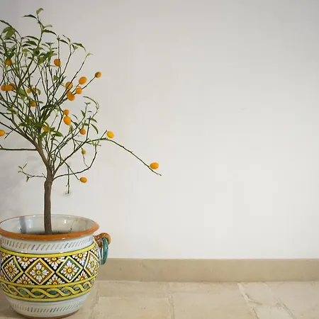 Bed & Breakfast Dimora Nonna Rosa